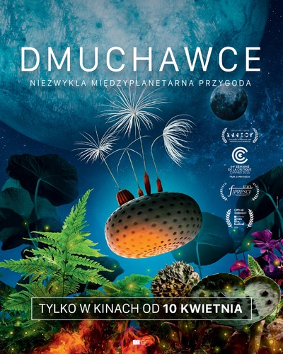 Event poster:  DMUCHAWCE 